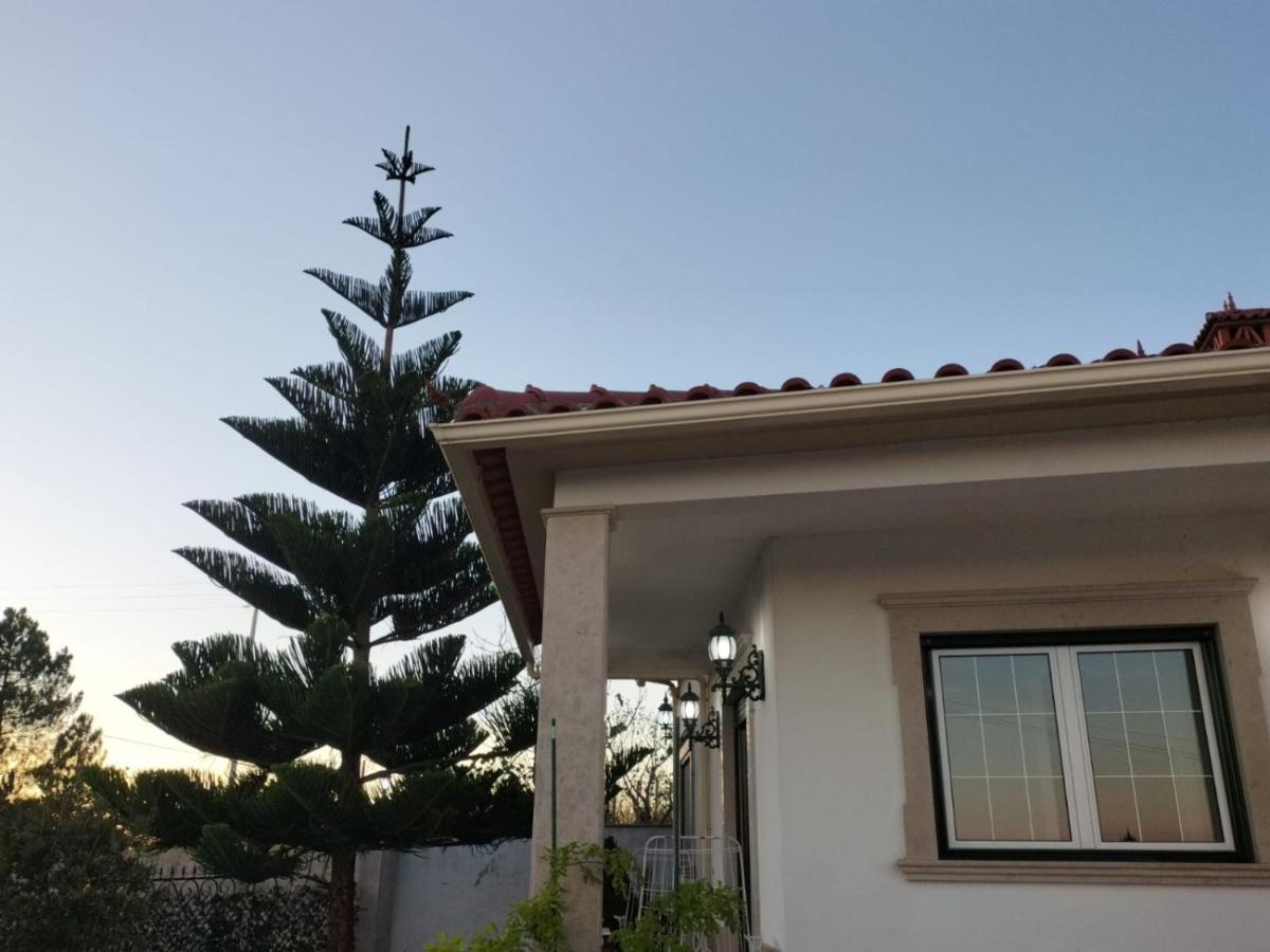 Casa Dos Gnomos Hotel Alvorninha ภายนอก รูปภาพ